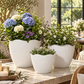 Nishka Ceramic Oval Pot with Irregular Lip (Set of 3)