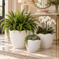 Nishka Ceramic Oval Pot with Irregular Lip (Set of 3)