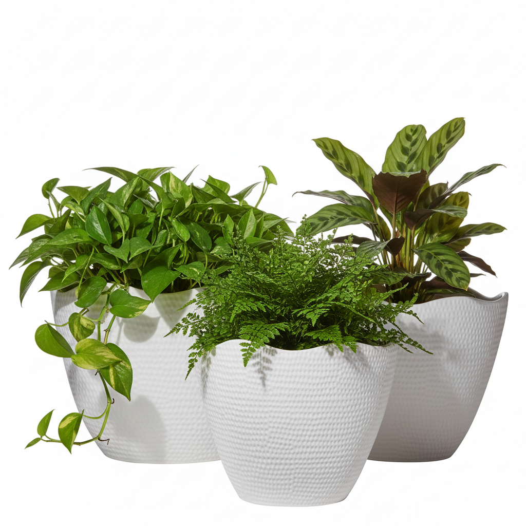 Nishka Ceramic Oval Pot with Irregular Lip (Set of 3)