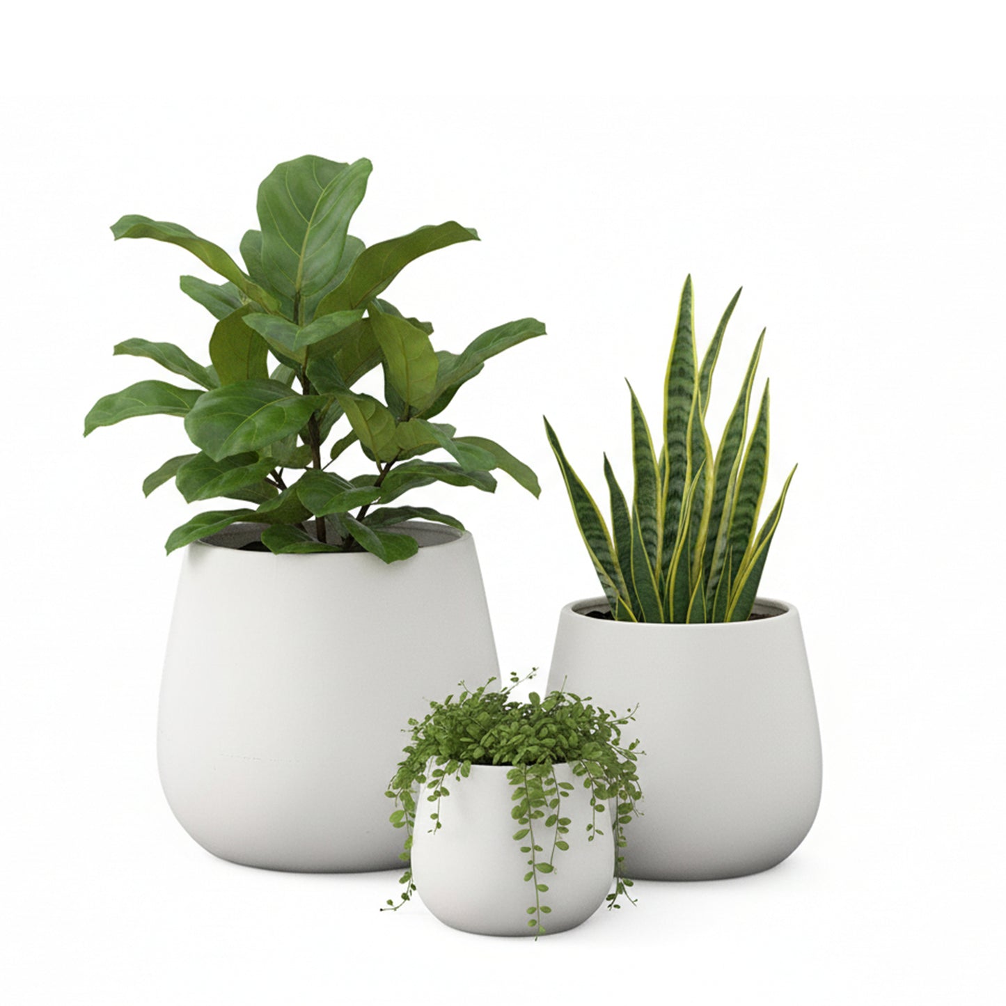 Omya Ceramic Plain Round Bellied Pot Set (Set of 3)