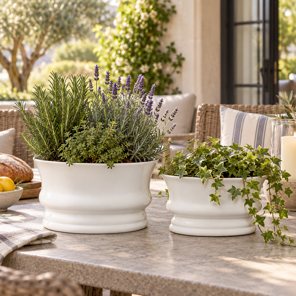 Maira Ceramic Minimalist Rounded Pot (Set of 2)