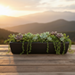 Alessia Ceramic Low Rectangle Pot