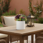Zaveta Minimalist Ceramic Round Pot