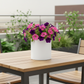 Zaveta Minimalist Ceramic Round Pot