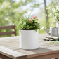 Zaveta Minimalist Ceramic Round Pot