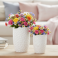 Andrea Ceramic Round Vase Set (Set of 2)