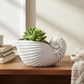 Willa Shell Planter