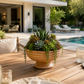 Nivea Pedestal Bowl Planter