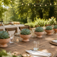 Nivea Pedestal Bowl Planter