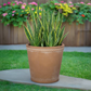 A round terracotta pot placed on a stone surface with a garden and wooden fence in the background.