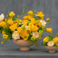 Solterra Terracotta Pottery (Set of 2)