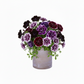 Tarni White Wash Terracotta Ceramic Pot