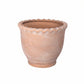 Terracotta pot with textured surface on a white background