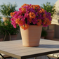 A terracotta-colored ceramic planter pot with a rope-textured rim, sitting on a tiled outdoor patio table with a blurred background of potted plants and a blue sky.