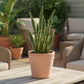 Lilla Artisan Terracotta Planter