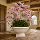 Galen Sand Finish Terracotta Urn Planter