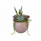 Yamini Terracotta Sphere Planter