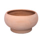 Cleo Terracotta Compote Planter