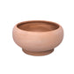 Cleo Terracotta Compote Planter