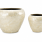 Yael Capri Shell Bowl Planter Set (Set of 2)