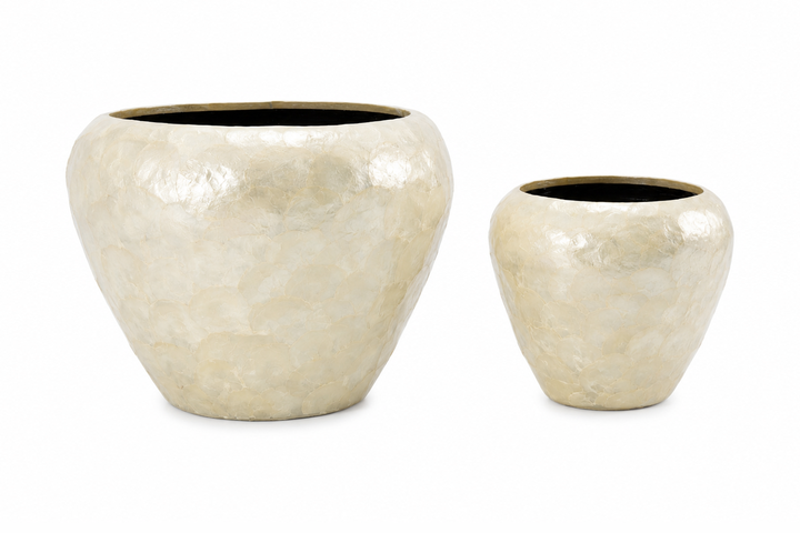 Yael Capri Shell Bowl Planter Set (Set of 2)