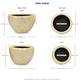 Raya Capri Shell Round Planter Set (Set of 2)