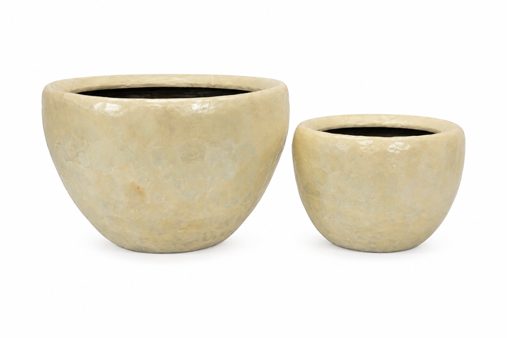 Raya Capri Shell Round Planter Set (Set of 2)