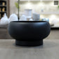 Raz Mushroom Compote Terracotta Planter