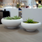 Valeriya Shallow Ceramic Planter Set (Set of 2)