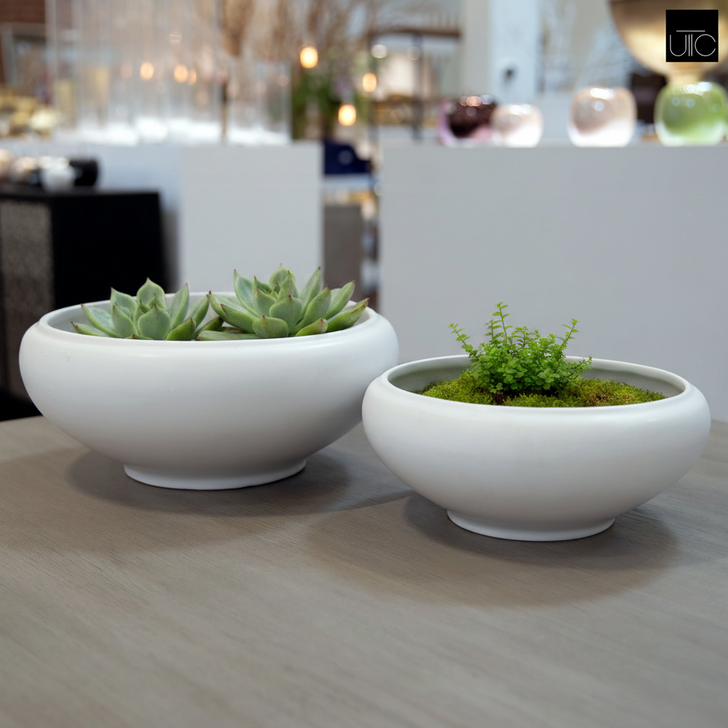 Valeriya Shallow Ceramic Planter Set (Set of 2)