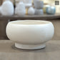 Raz Mushroom Compote Terracotta Planter