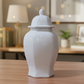 Biann Ceramic Chinoiserie Ginger Jar