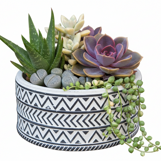 Mara Ceramic Wide Round Tribal Pot