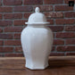 Biann Ceramic Chinoiserie Ginger Jar