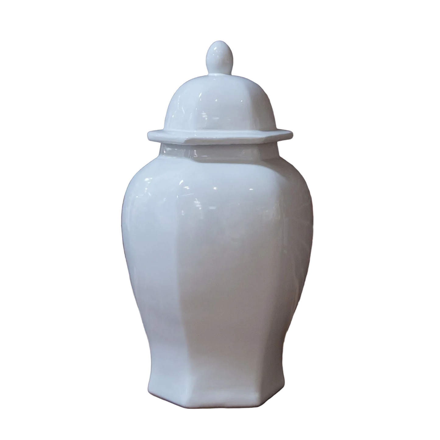 Biann Ceramic Chinoiserie Ginger Jar