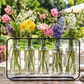 Harlen Hanging Bud Vase Cluster