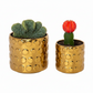 Quinn Bubble Pattern Ceramic Planter Set (Set of 2)