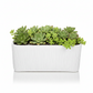 Rita Rectangular Embossed Planter - Large