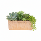 Rita Rectangular Embossed Planter - Large