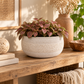 A round textured beige ceramic planter holding a pink and green patterned leafy plant, styled on a rustic wooden console table with dried flowers in a vase and woven decor in a warm indoor setting.