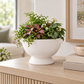 Winnie Lion Handle Ceramic Pot