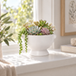 Winnie Lion Handle Ceramic Pot