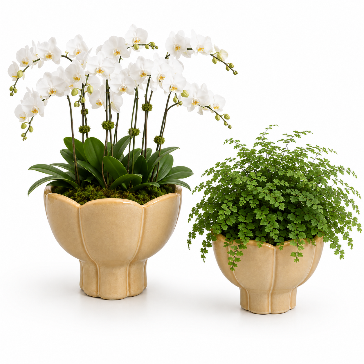 Phoenix Scalloped Lotus Pedestal Ceramic Planter - Beige
