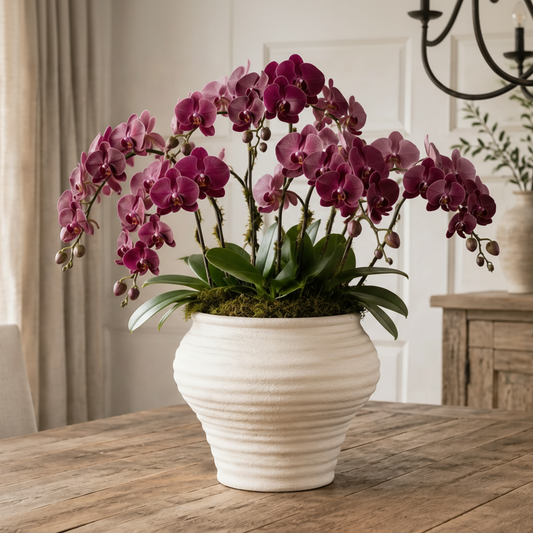 Eliza Bulbous Flared-Rim Ceramic Vase