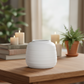 Yvette Ceramic Vase