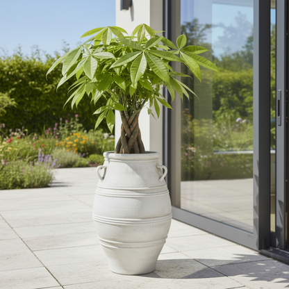 Arina Bulbous Amphora Planter with Loop Handles