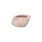 Isabelle Polyresin Seashell Planter