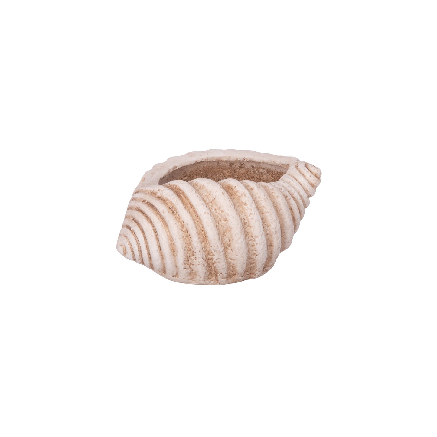 Isabelle Polyresin Seashell Planter