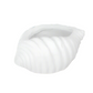 Avenno Conch Decorative Accent
