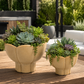 Phoenix Scalloped Lotus Pedestal Ceramic Planter - Beige